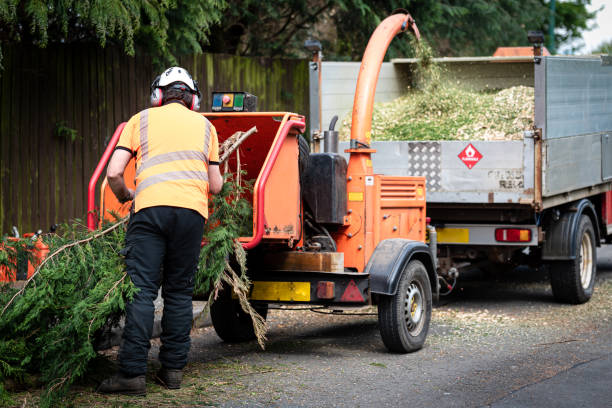 Best Pest Control for Lawns  in Stockbridge, MI